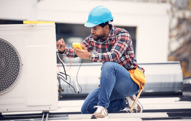 Best Electrical Upgrades for Homes  in Lewiston, MN