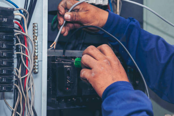 Best Licensed Electrician  in Lewiston, MN